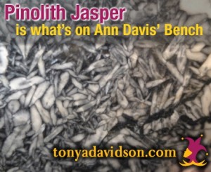 Pinolith Jasper is what's on Tonya Davidson's Muse Personality Ann Davis's bench